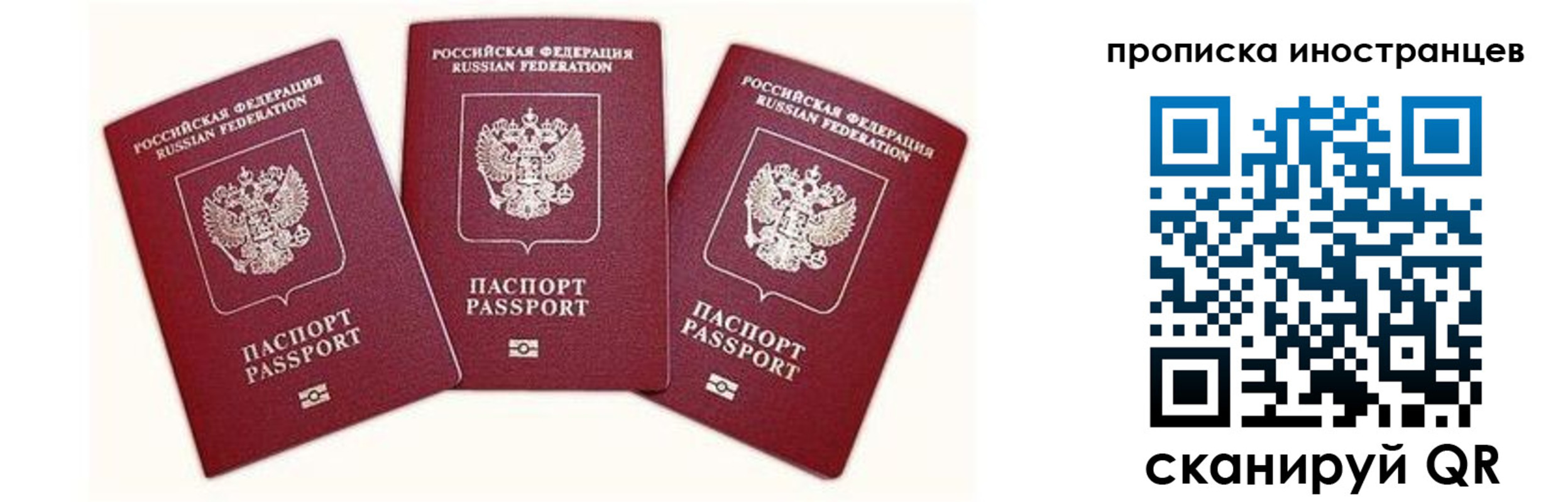 прописка в Суровикино